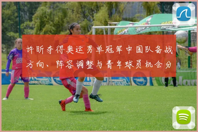 许昕夺得奥运男单冠军中国队备战方向、阵容调整与青年球员机会分析